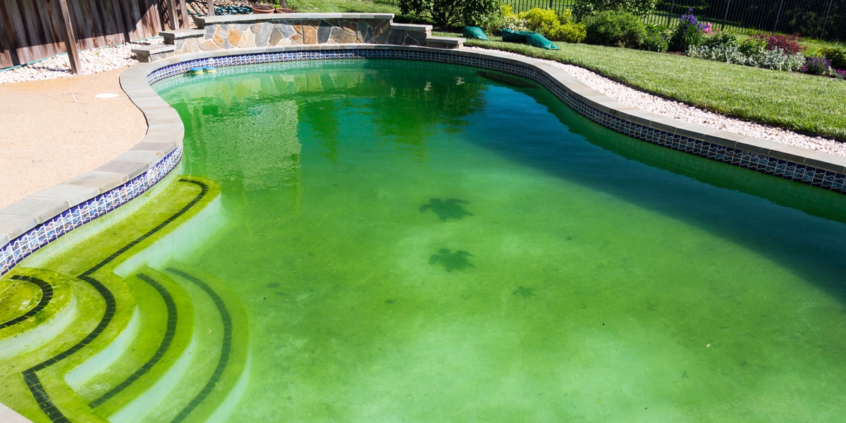 Comment nettoyer les algues au fond d’une piscine