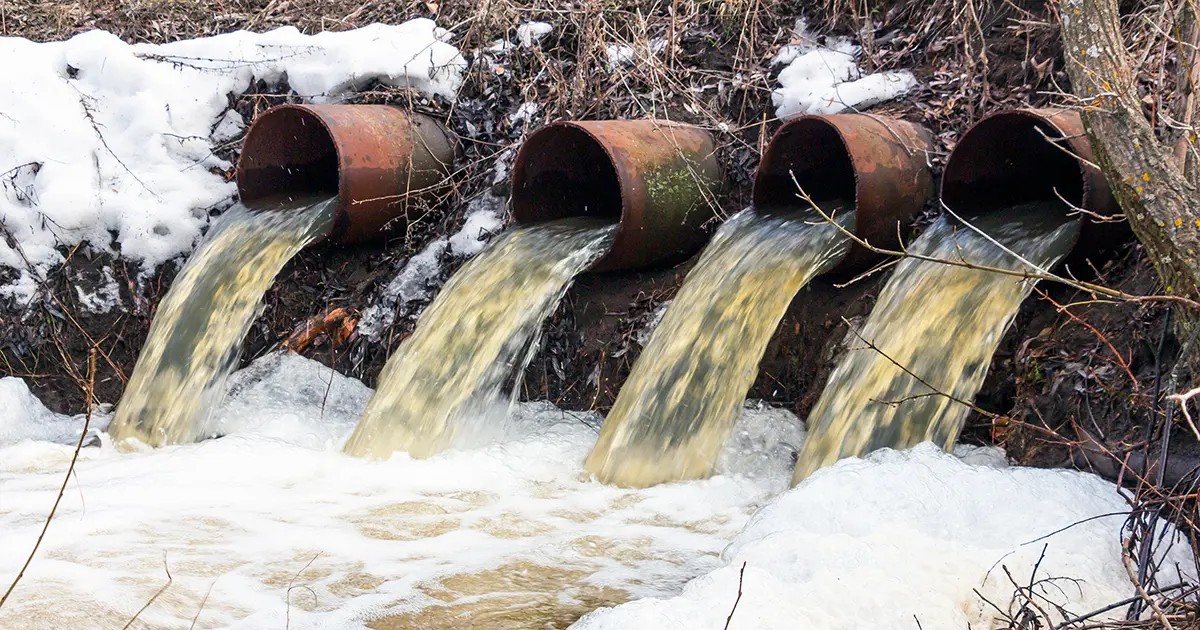 Evacuer les eaux usées sans le tout-à-l’égout : Guide complet