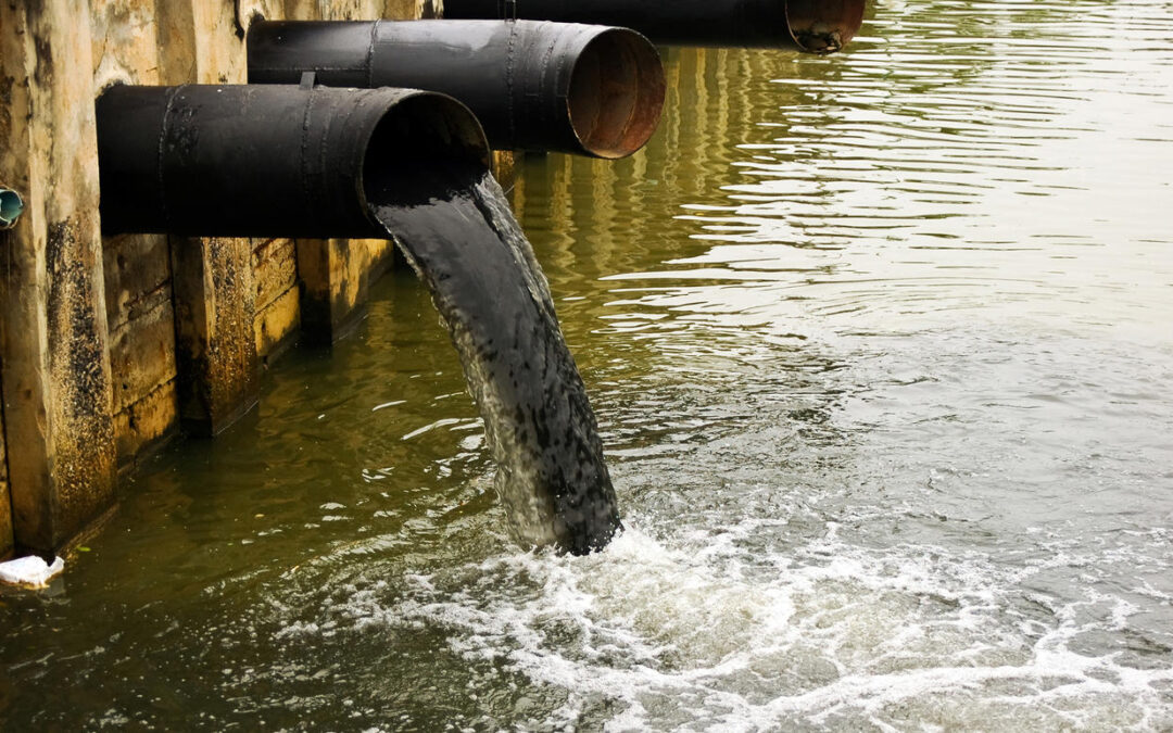 Evacuer les eaux usées sans le tout-à-l’égout : Guide complet