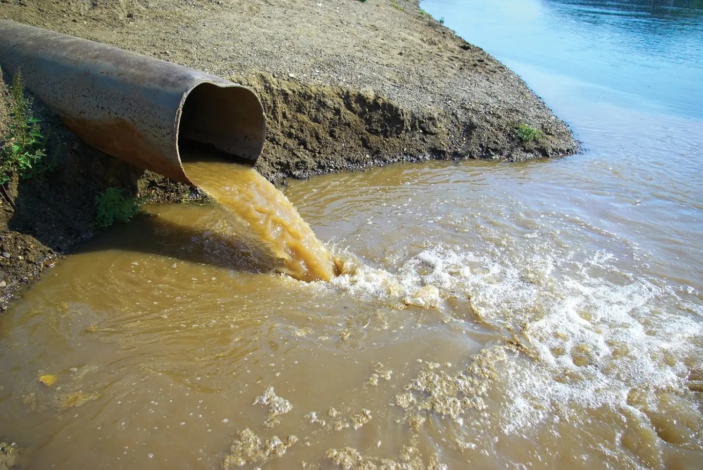 Evacuer les eaux usées sans le tout-à-l’égout 