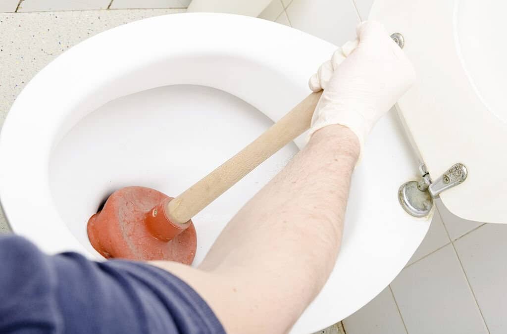 Comment déboucher un WC avec fosse septique ?