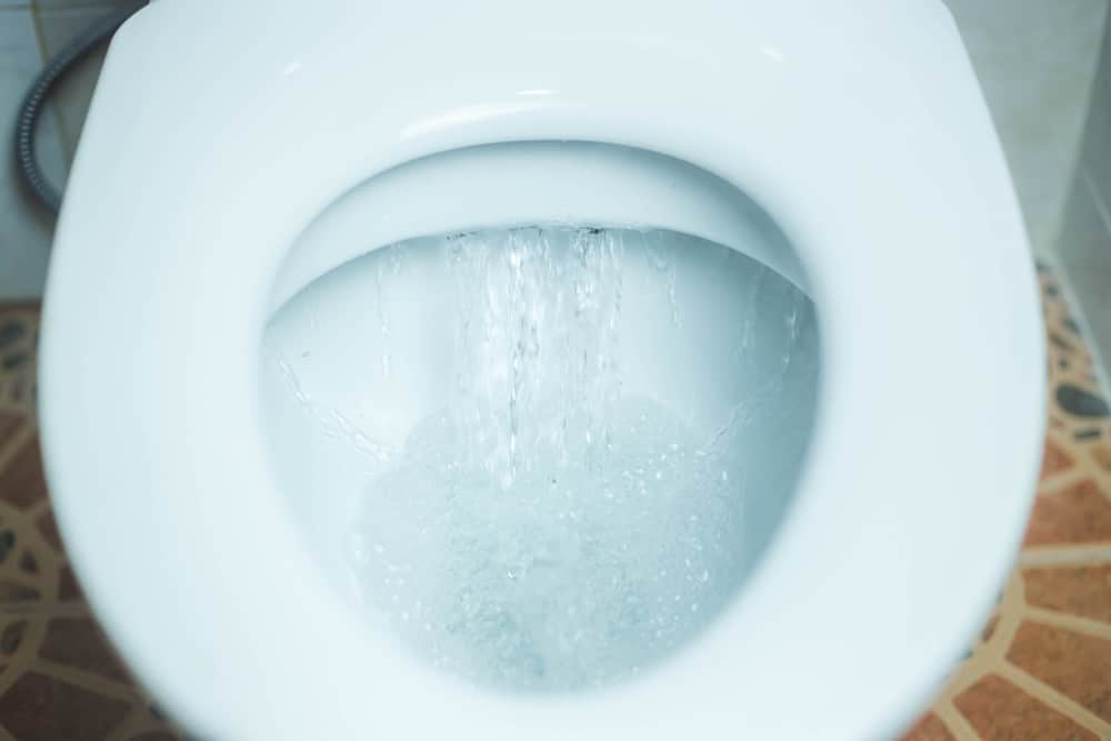 Fuite d’eau dans les toilettes : les 5 bons gestes à adopter 