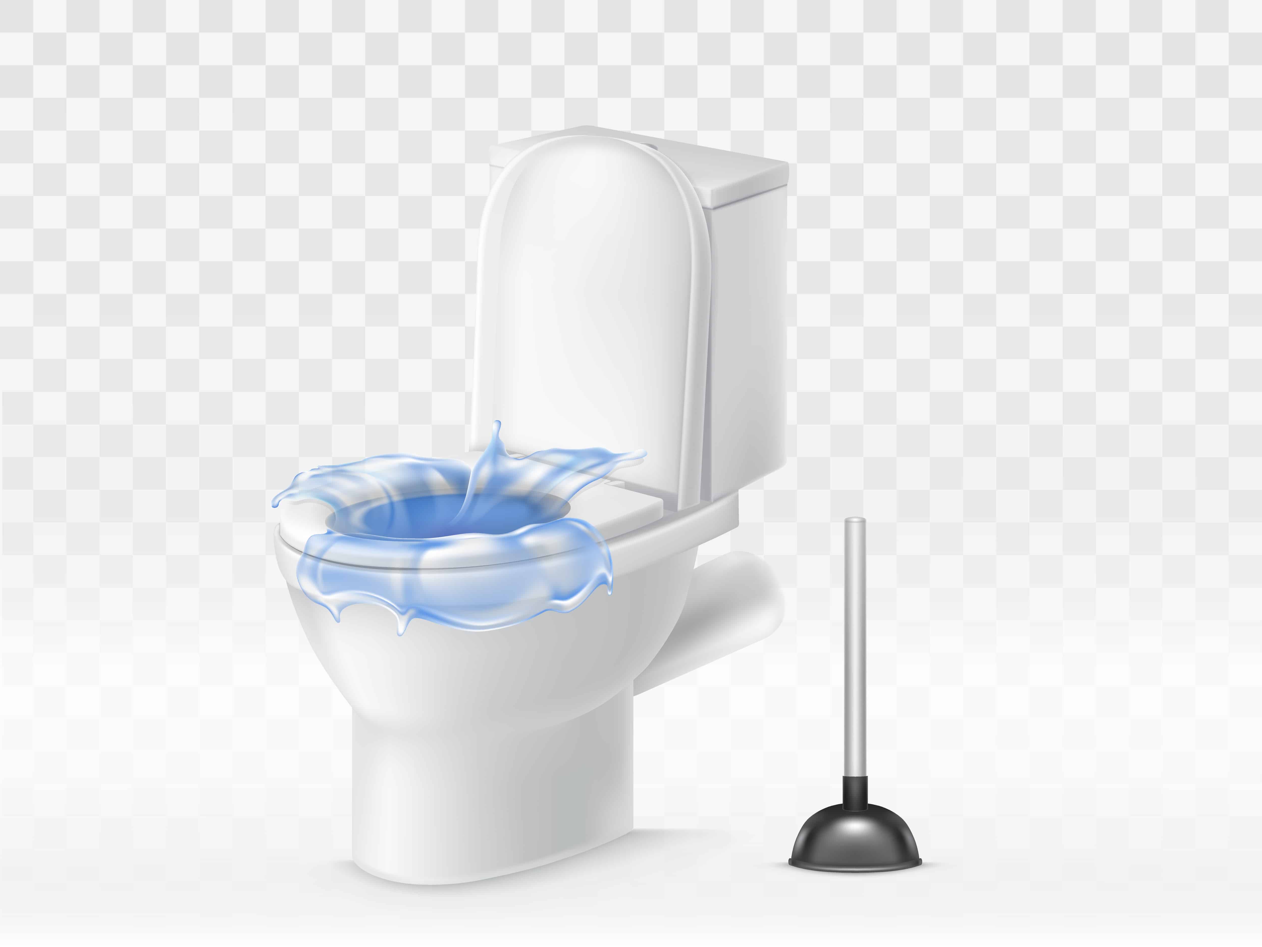Comment éviter de boucher vos WC 