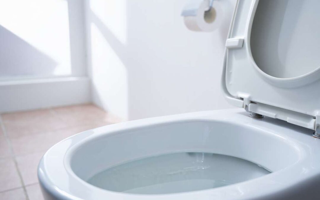 Toilettes bouchées : causes courantes et solutions efficaces