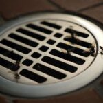Comment se débarrasser des insectes dans les canalisations ? Guide pratique insectes-canalisations